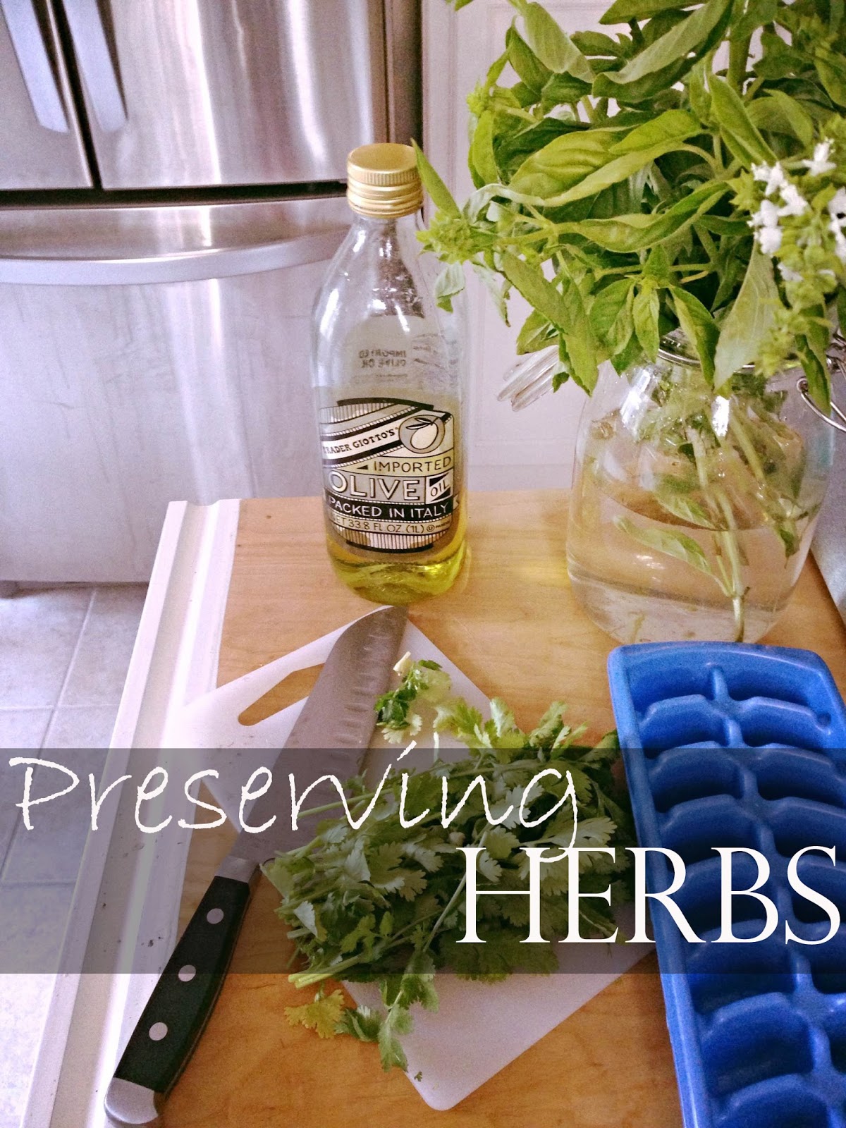 Preserving Herbs!